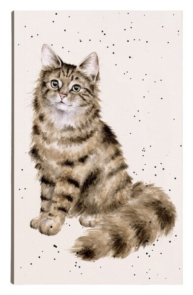 Poznámkový blok Feline Fabulous, 140l., linkovaný - Kočka
