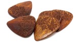 Timber Tones Mandala Tones Mixed 4-Pack