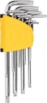 Deli Tools EDL3091 Sada inbusových klíčů / T10 T15 T20 T25 T27 T30 T40 T45 T50 (EDL3091)