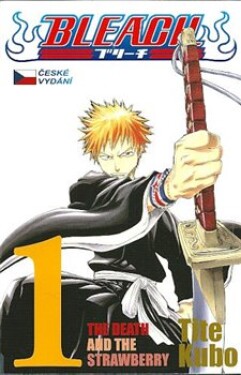 Bleach The Death and The Strawberry Kubo