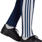 Pánské tepláky Squadra 21 Adidas