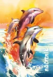 Náčrtník A5 / Náčrtník / 40 listů (983256)