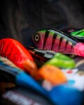 Westin Velikonoční Box Swim Tail Easter Edition 12cm 62g,Westin Velikonoční Box Swim Tail Easter Edition 12cm 62g