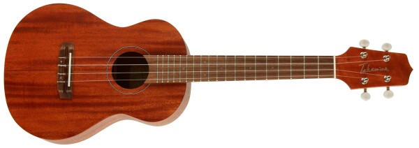 Takamine EGU-T1