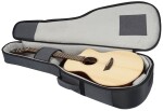 Ibanez PA300E Natural