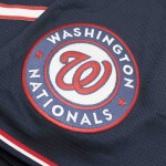 Nike Pánský dres Washington Nationals MLB Alternate Road Velikost: M