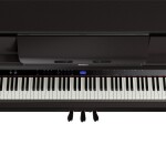 Roland LX-6 DR