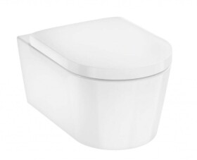 HANSGROHE - EluPura S Závěsné WC se sedátkem SoftClose, AquaFall, SmartClean, bílá 61119450