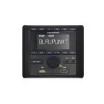 Blaupunkt Mannheim 600 DAB