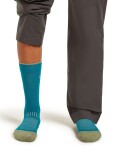 Dámské merino ponožky ICEBREAKER Wmns Hike+ Light Crew, Tidal Teal/Lichen velikost: 41-43 (L)
