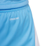 Šortky adidas Tiro 24 M JI6093 m