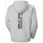 Helly Hansen Core Graphic Sweat Hoodie M 53924 825 L