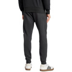 Kalhoty adidas Essentials Big Logo French Terry M IN6163 XL