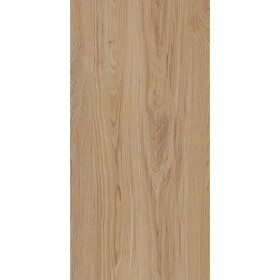 Treniwood Beige 59,8/119,8