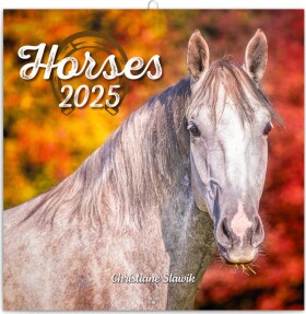 Kalendář 2025 poznámkový: Koně Christiane Slawik, 30 30 cm