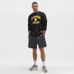 Pánská mikina Pittsburgh Steelers NFL Graphic Steady State Velikost: M