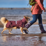 Pláštěnka Mudventure Coat ECO lilková, Hurtta Velikost: 25