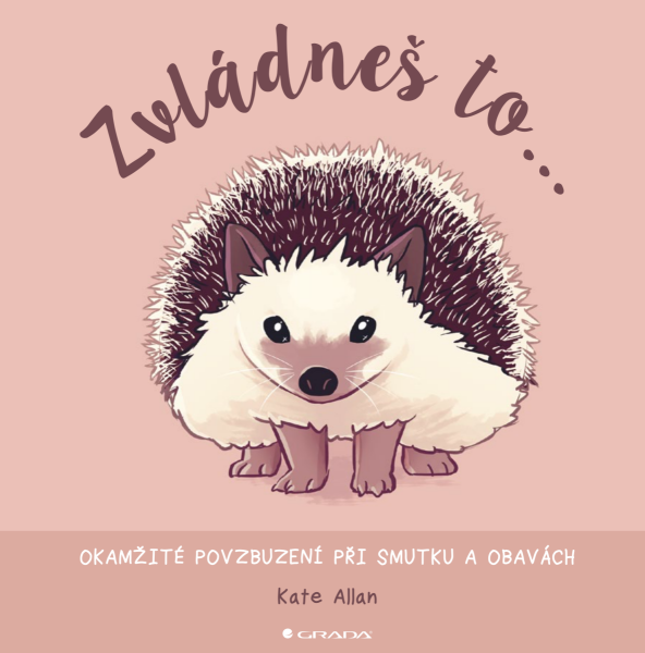 Zvládneš to... - Kate Allan