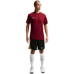 Nike Dri-Fit Park VIII pánské tričko bordó HV8173 677 pánské XL