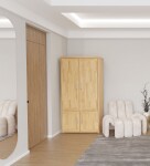 HP-Nábytek Skříň Alfa 2D Praktik BUK ROZMĚR: (š/v/h) 95 x 185 x 55 cm celošatní