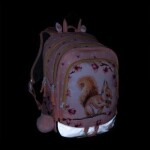 Bagmaster ALFA 26 A velký školní set pro prvňáčky – veverka