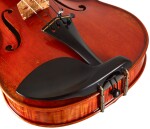 Eastman Frederich Wyss Violin 4/4 (VL703G)