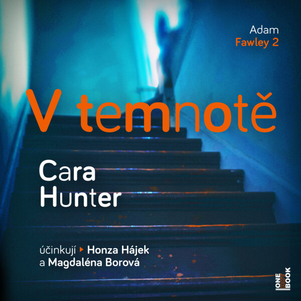 V temnotě - Cara Hunter