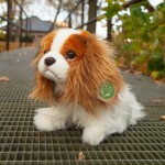 Plyšový king charles 25 cm