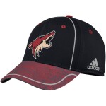 Pánská Kšiltovka Arizona Coyotes Adidas Alpha Flex Velikost: S/M