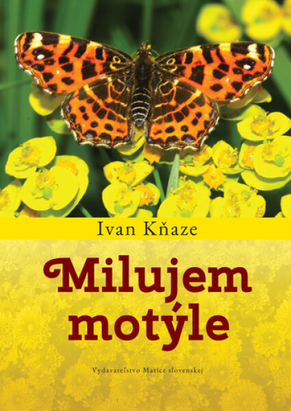 Milujem motýle - Ivan Kňaze