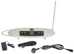 Moog Theremini