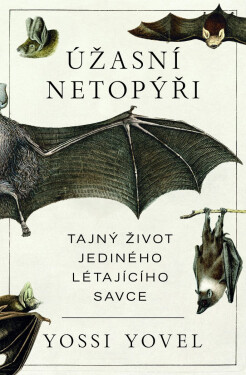 Úžasný netopýr - Yossi Yovel