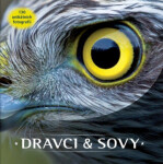 Dravci sovy