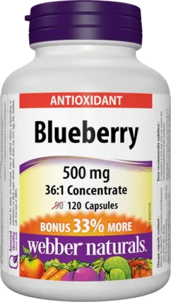 Webber Naturals Blueberry 500 mg 120 cps (10621)
