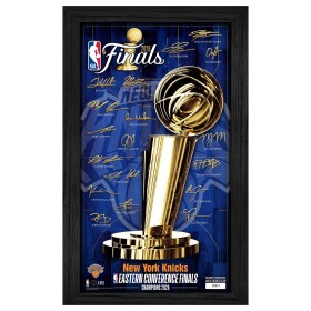 Obraz New York Knicks NBA 2026 Champions Signature Trophy