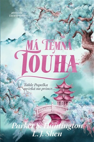 Má temná touha