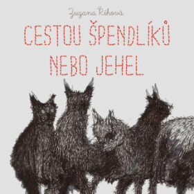 Cestou špendlíků nebo jehel - Zuzana Říhová - audiokniha