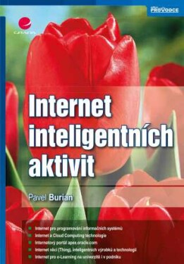 Internet inteligentních aktivit - Pavel Burian - e-kniha
