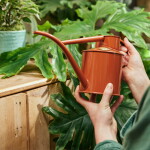 HAWS Konvička na zalévání Fazeley Flow Terracotta Orange – 1 l, červená barva, kov