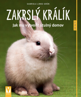 Zakrslý králík