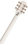 Epiphone Jerry Cantrell Prophecy Les Paul Custom