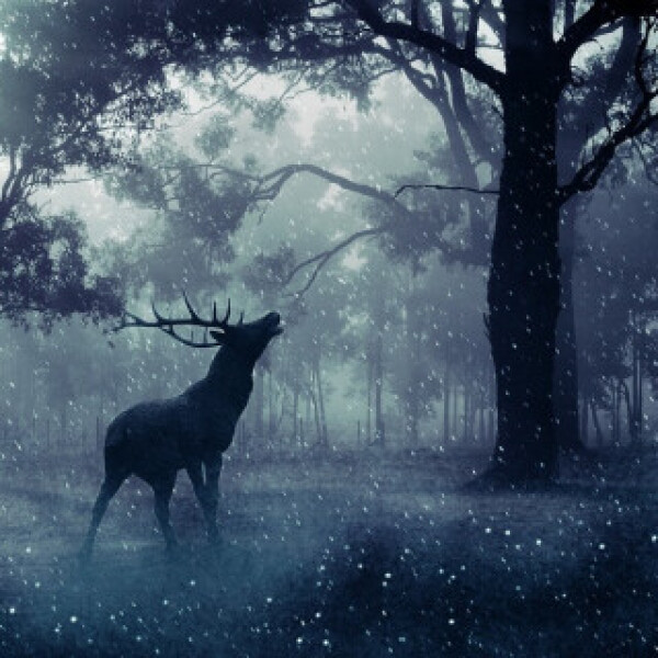 Nejčernější les - Karel Šiktanc, Radoslav Brzobohatý, Ladislav Mrkvička, Věra Hučínová, Jiří Langmajer, Antonín Hardt, Karel Weinlich, Marie Spurná -