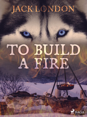 To Build a Fire - Jack London