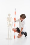 TickiT Kostra 85cm (model v měřítku 1/2)