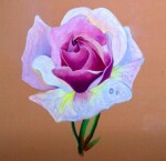 Koh-i-Noor Gioconda Soft Pastel Pencils 12 ks 8827 Pastely v tužce