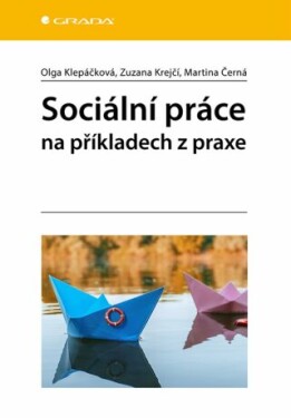 Sociální práce na příkladech z praxe - Klepáčková Olga, Krejčí Zuzana, Černá Martina - e-kniha