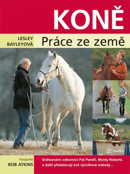 Koně - práce ze země - Lesley Bayleyová