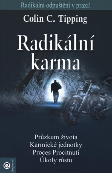 Radikální karma - Colin C. Tipping