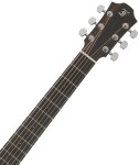 Furch Green Dc-SR Master's Choice Sunburst CNR Active