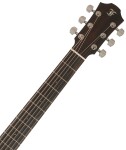 Furch Green Pure Dc-SM CNR Active